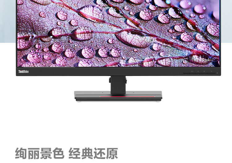 联想ThinkVision T27q-20显示器 27英寸QHD显示器丰富接口高色域灵活支架设计