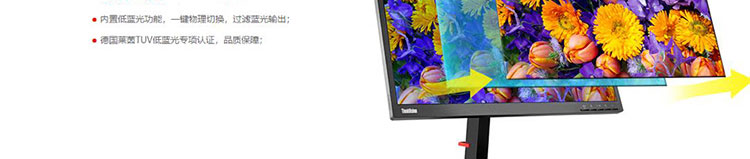 联想ThinkVision TE24-10显示器 23.8英寸IPS大屏广视角呈现精彩画面兼容支架与壁挂